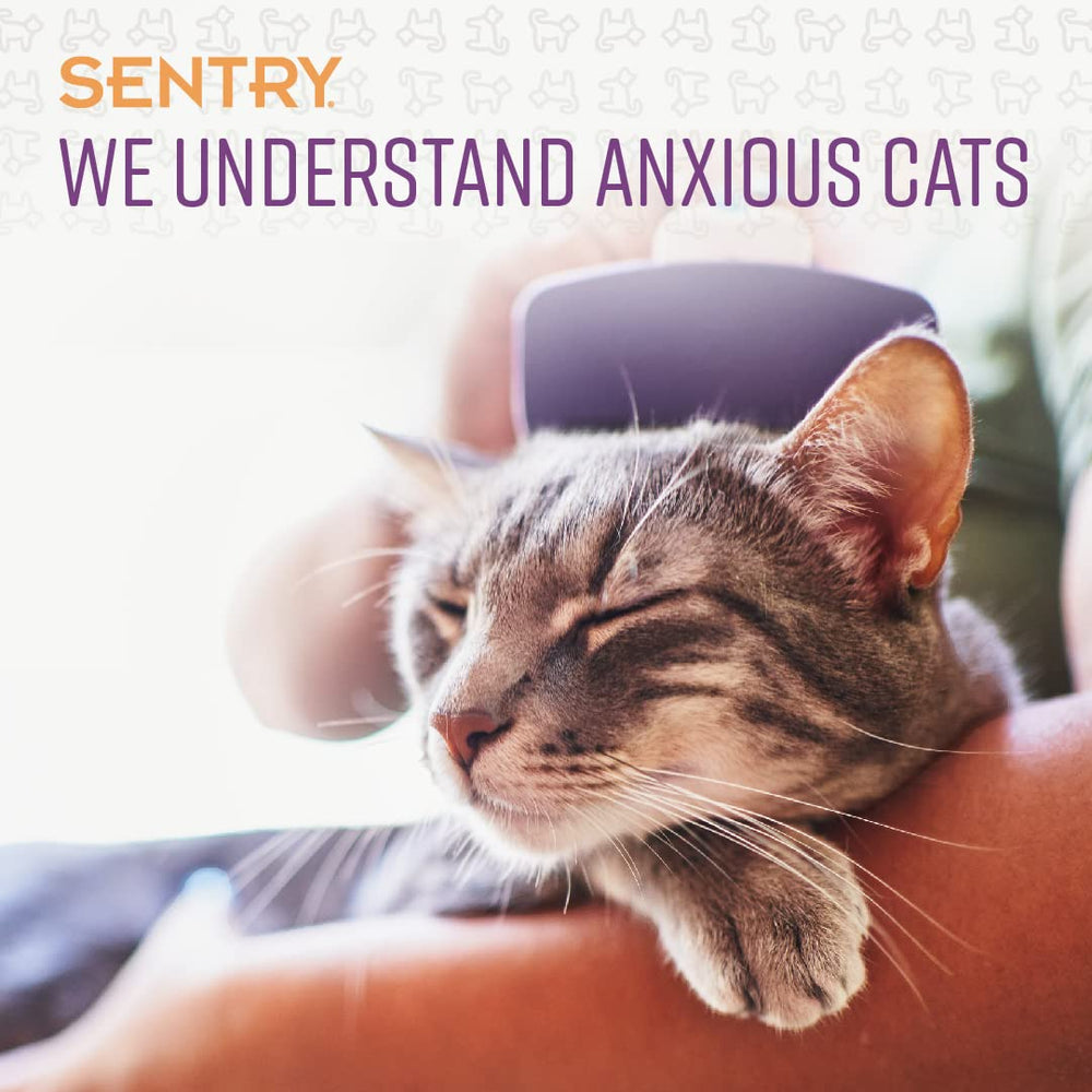 Serving SENTRY Calming Chews for Cats to help ease new environment jitters.