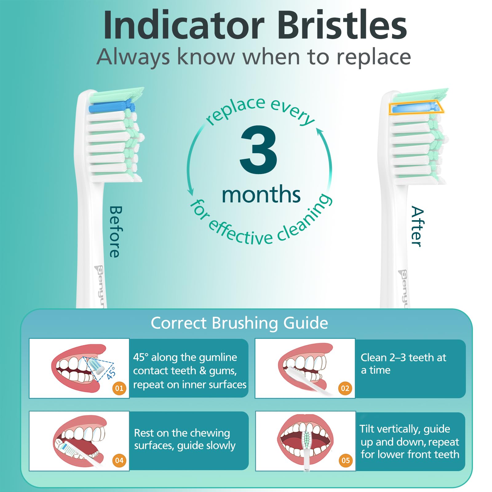 Senyum Philips Sonicare hygienic cap protects bristles during storage and travel