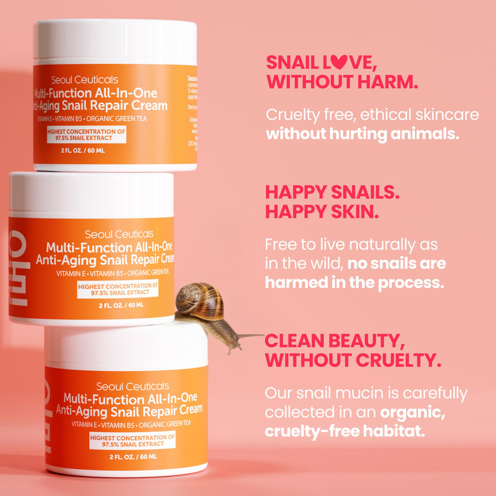 SeoulCeuticals day and night routine shot suggests versatile skincare use.
