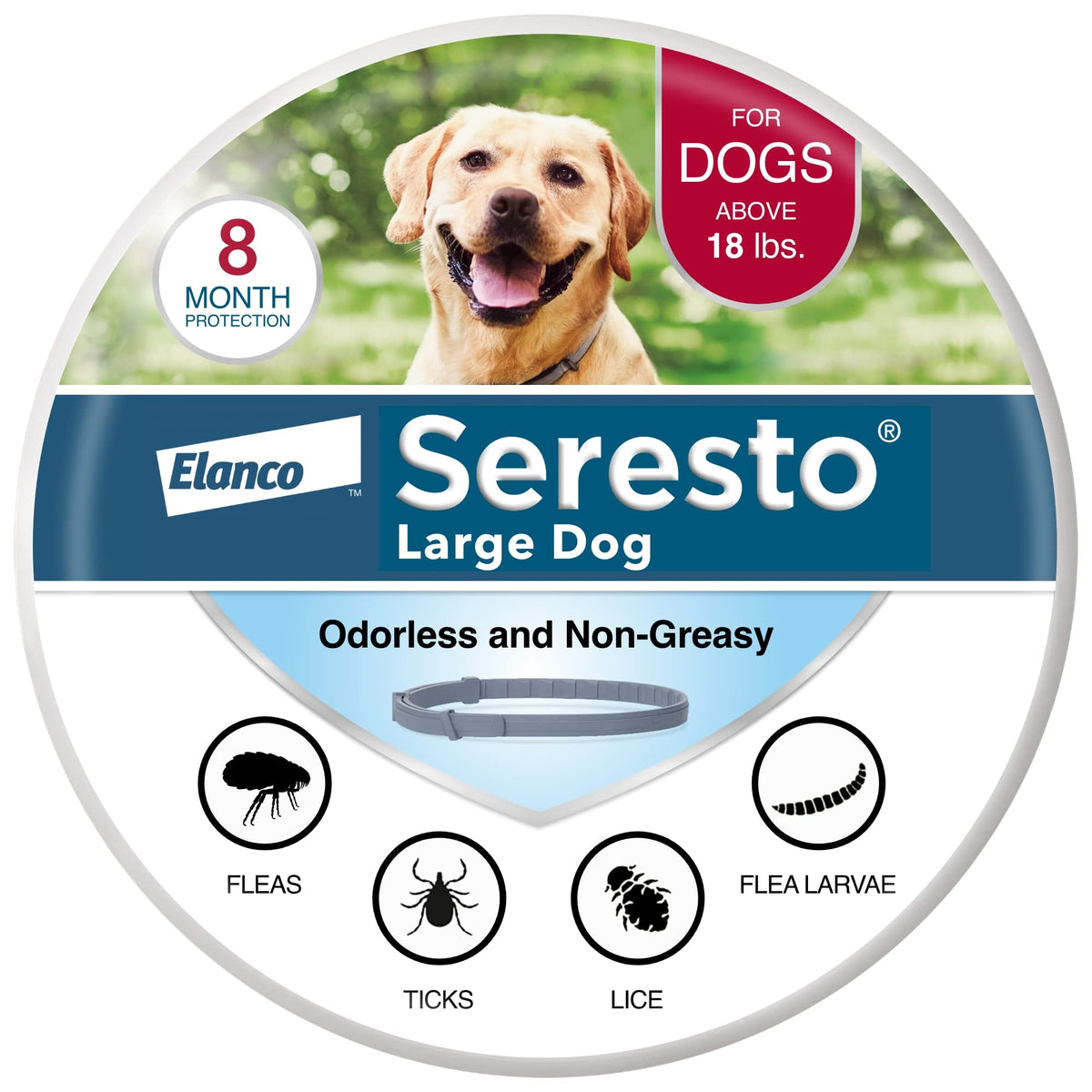 Seresto flea and tick collar on dog provides long-lasting protection against pests