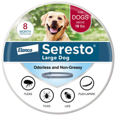 Seresto flea and tick collar on dog provides long-lasting protection against pests
