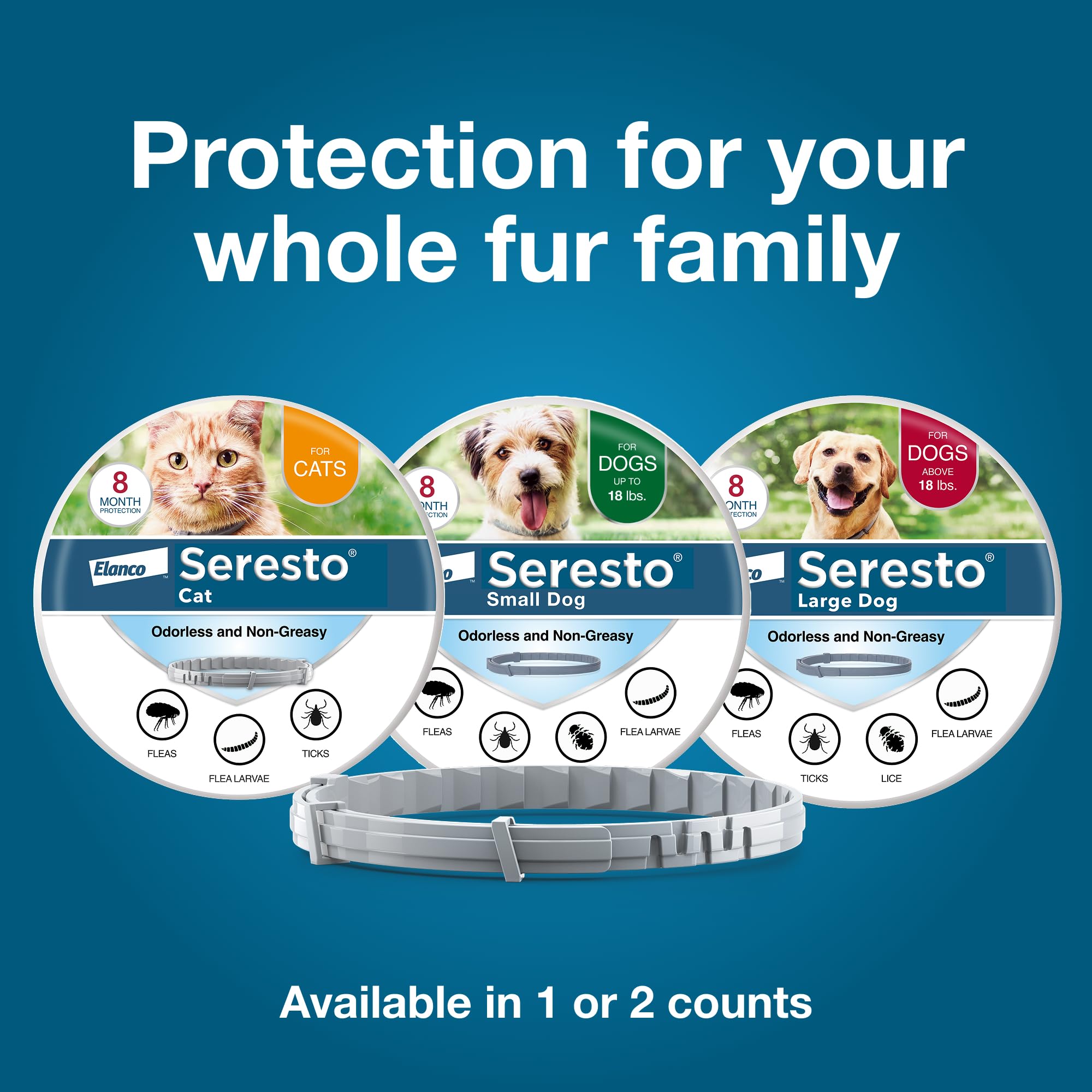 Seresto large dog wearing collar during park visit, showing tick protection in action