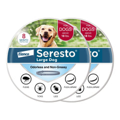 Seresto large dog collar worn by a calm hound, offering long-lasting flea and tick protection