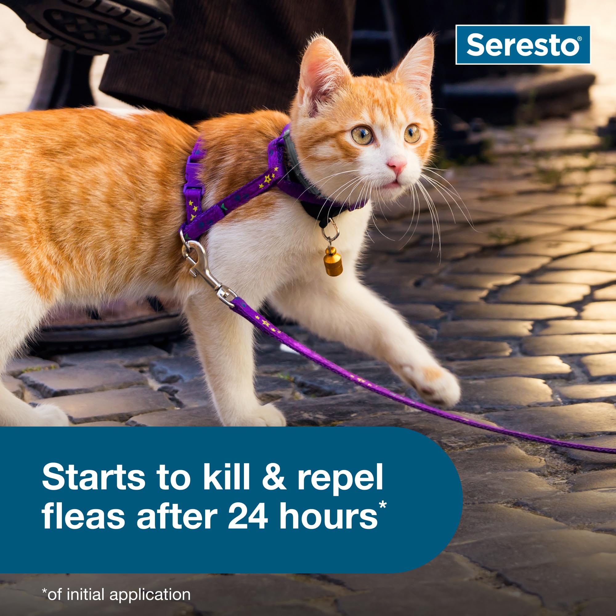 Pack of two Seresto collars for ongoing flea and tick protection.