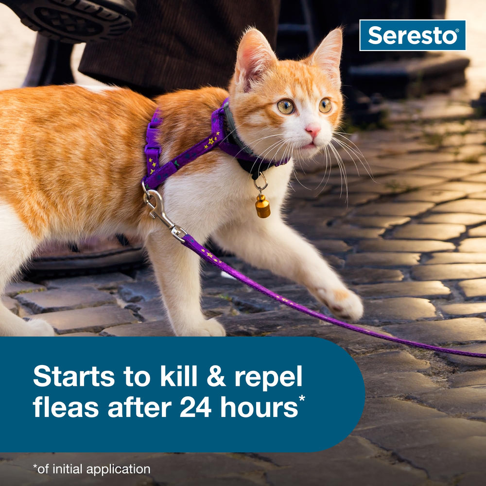 Pack of two Seresto collars for ongoing flea and tick protection.