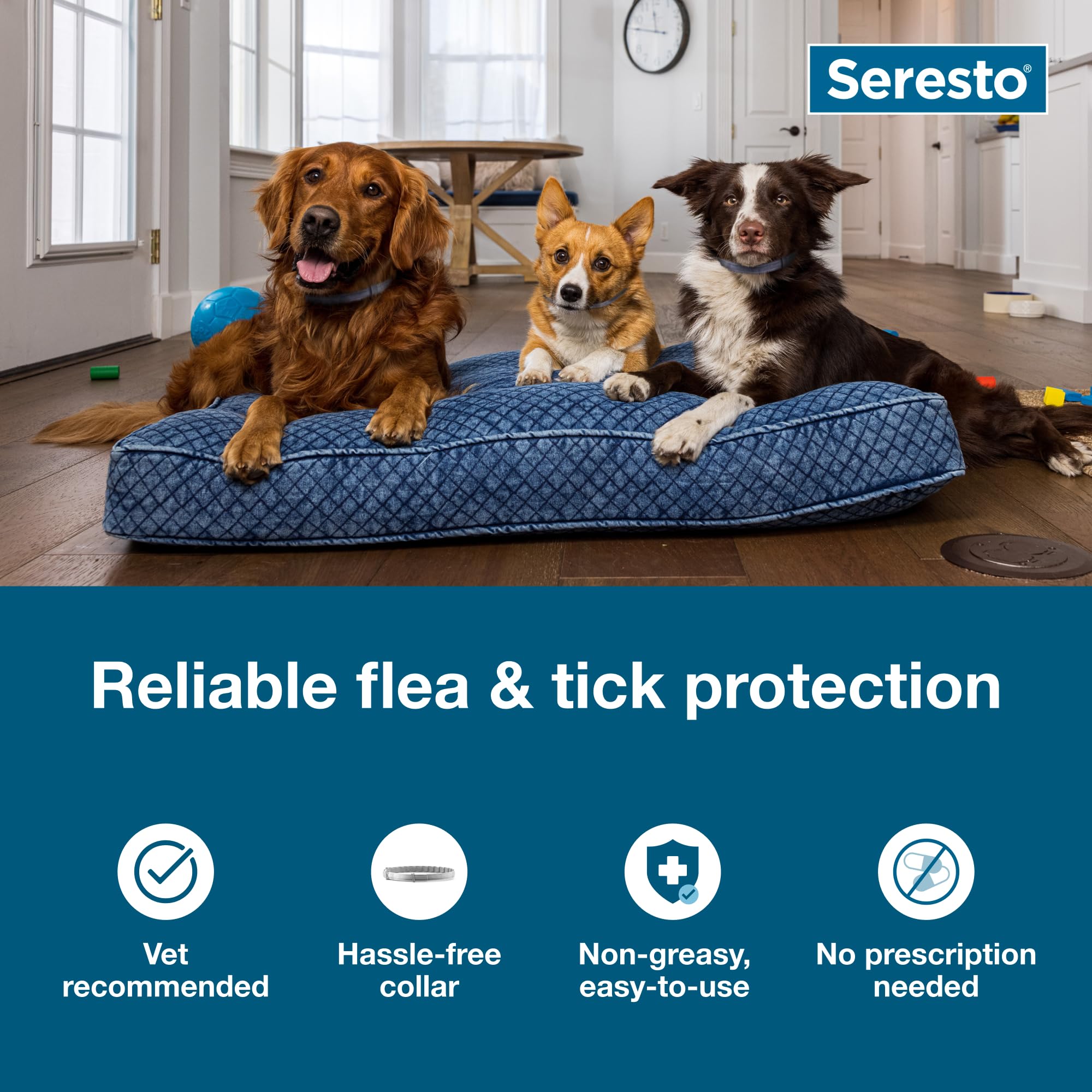 Seresto small dog collar close-up buckle shows secure fit