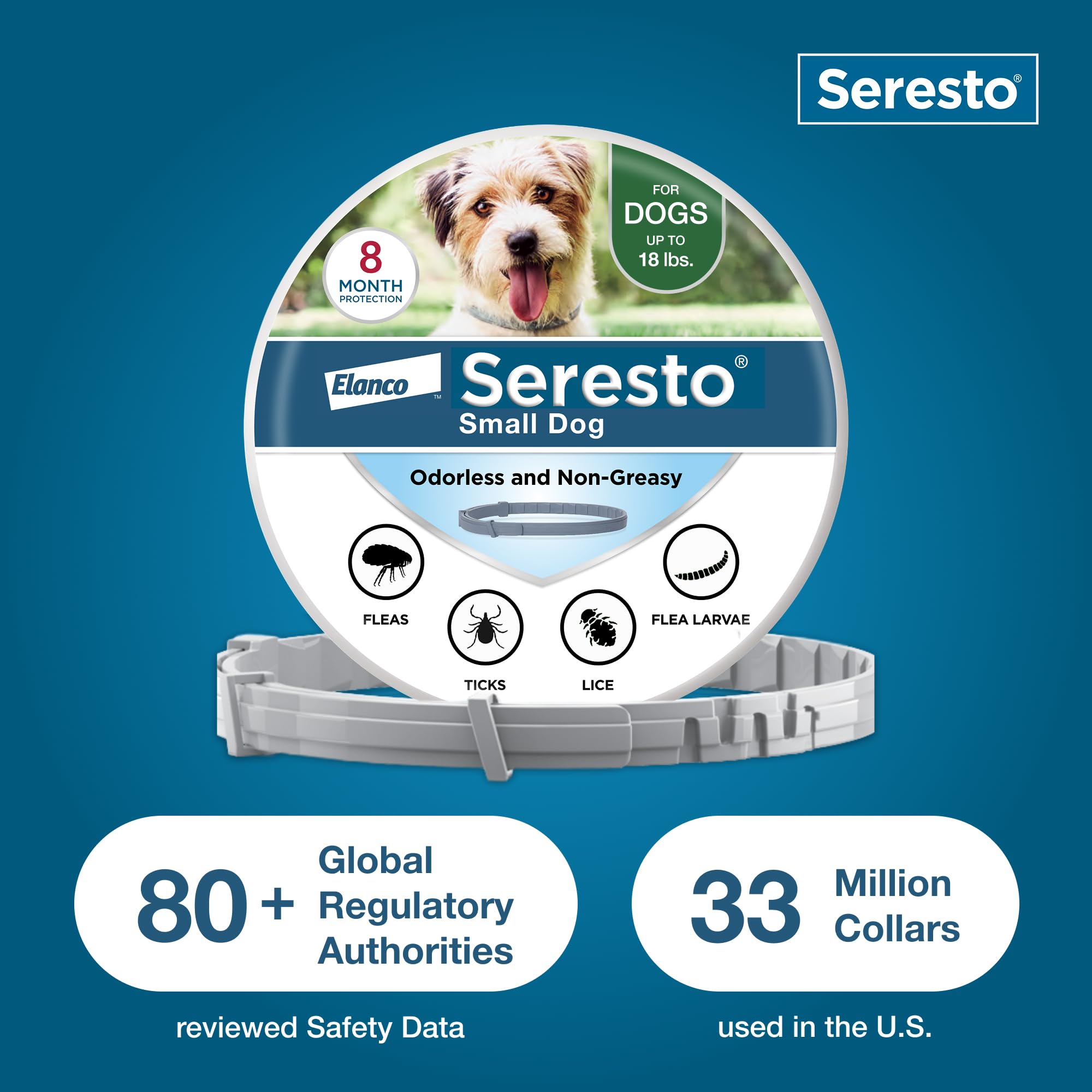 Dog wearing Seresto collar during walk demonstrates seamless protection