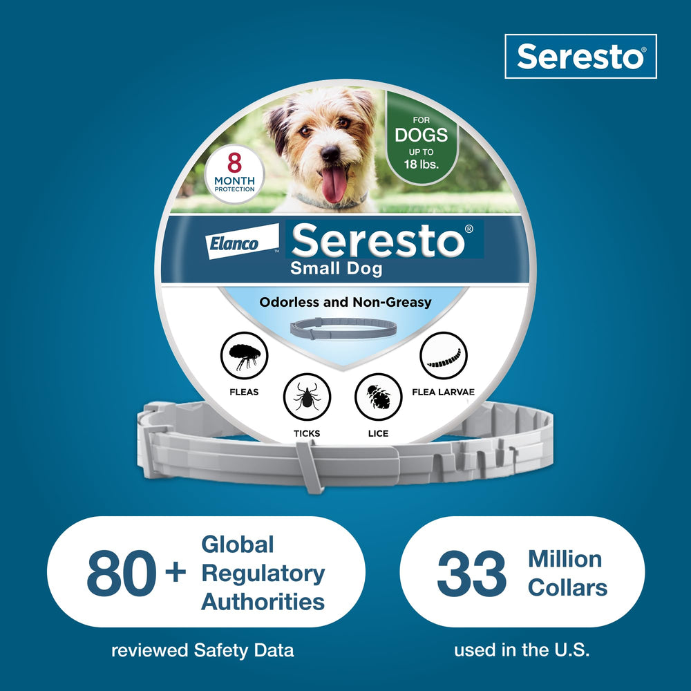 Dog wearing Seresto collar during walk demonstrates seamless protection