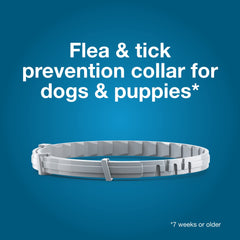 Seresto small dog collar packaging highlights veterinarian-recommended status