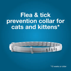Veterinary-recommended Seresto collar display emphasizing eight-month protection.