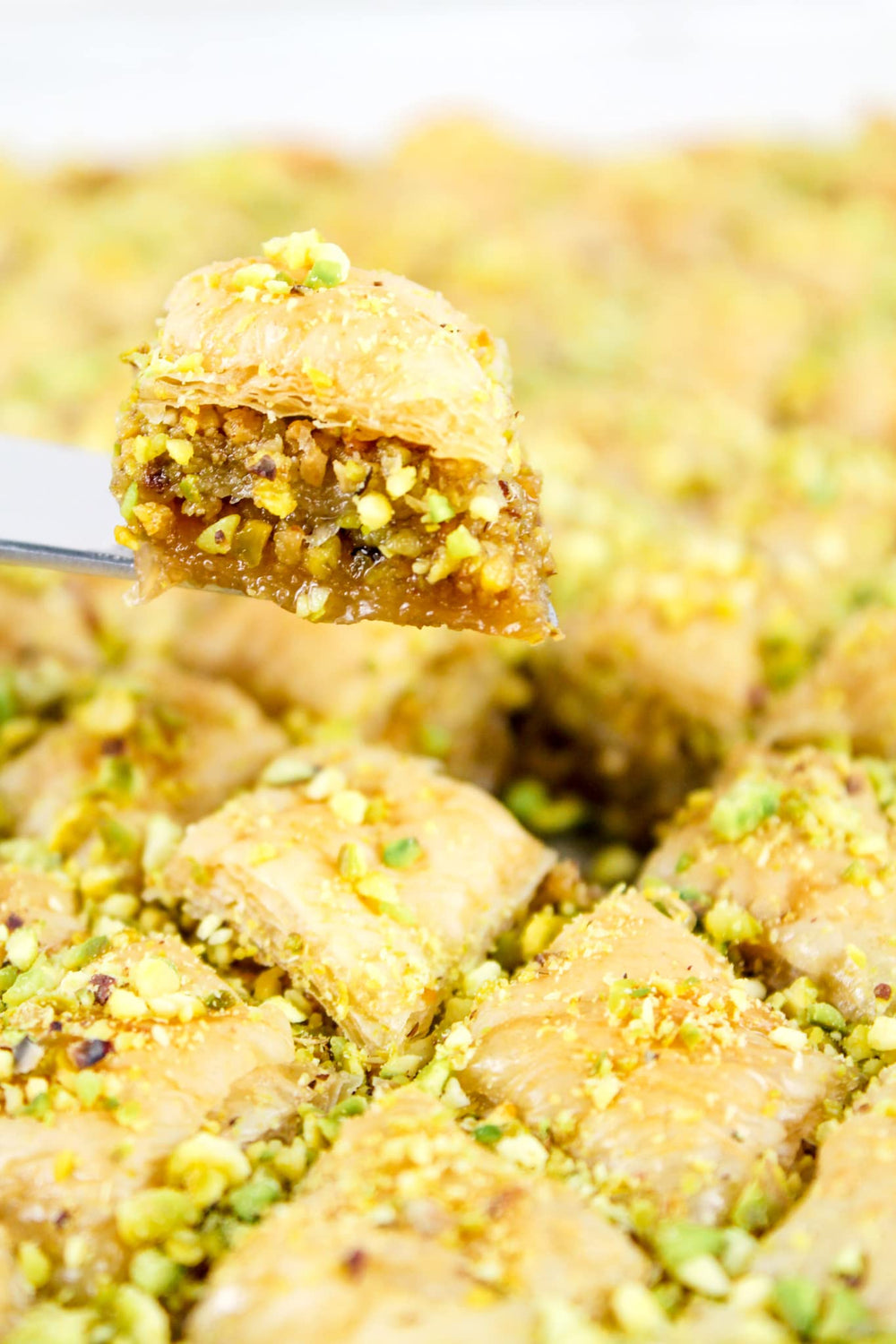Setton Farms resealable pouch keeps pistachios fresh