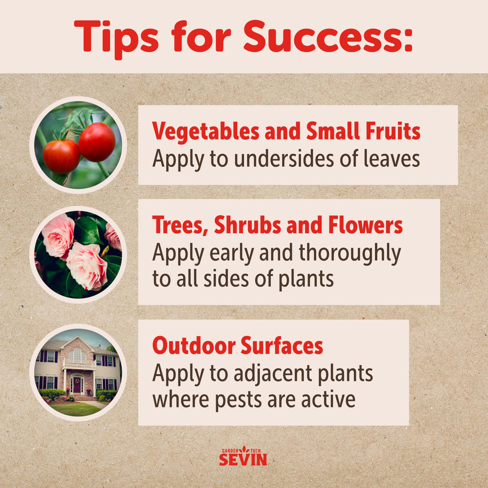Strawberries and peppers protected by Sevin Dust