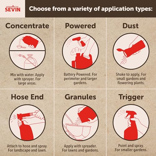 Close-up of pests with Sevin dust action on leaves.