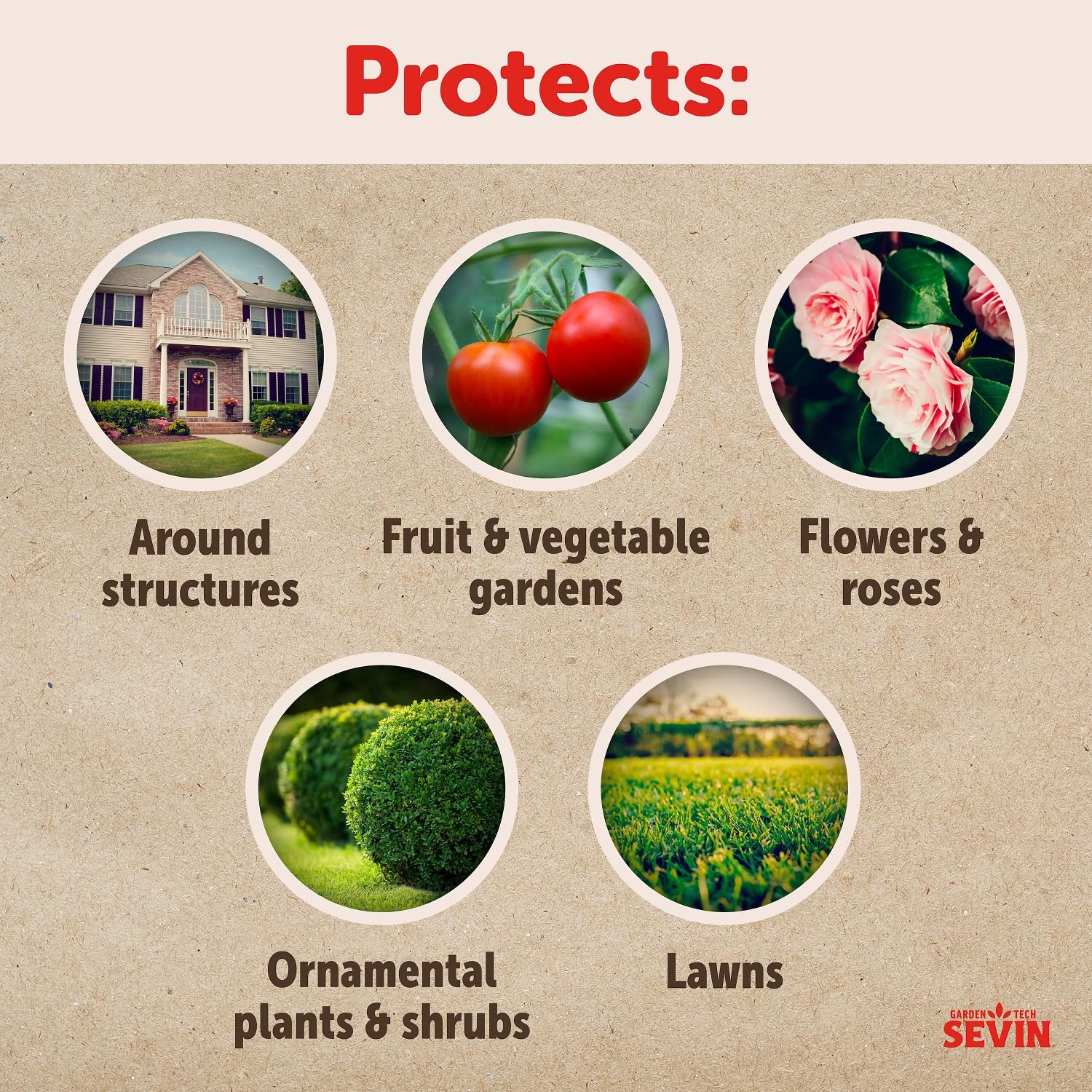 Sevin protects roses and edibles in a sunny garden