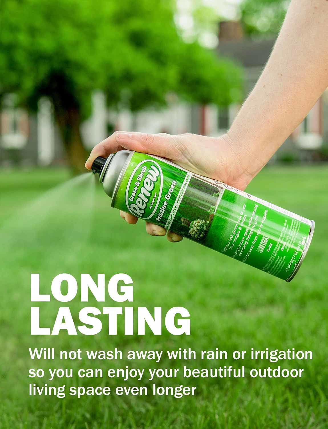 Seymour Renew brown-spot coverage on lawns and shrubs