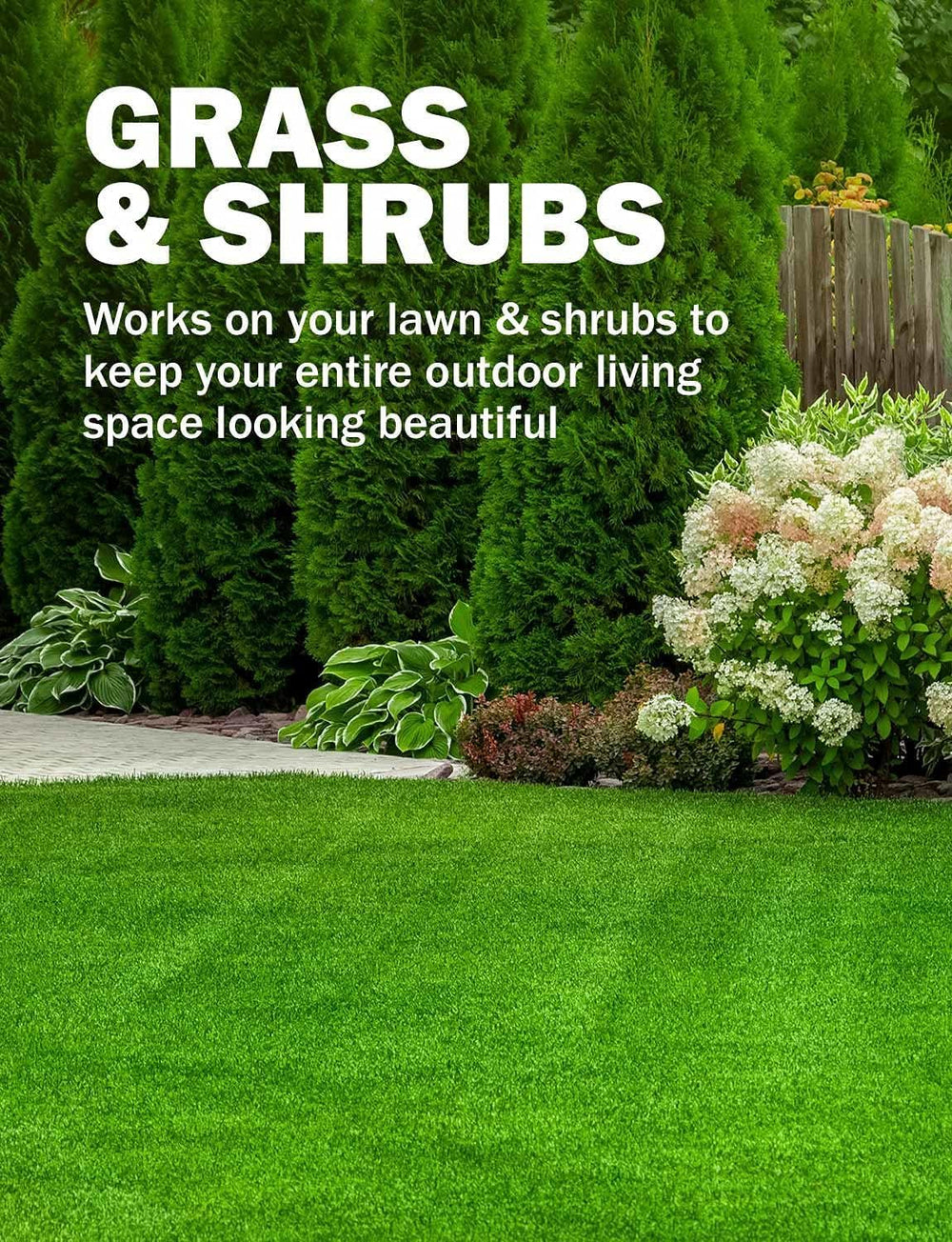 Seymour Renew easy spray application for targeted lawn and landscape areas