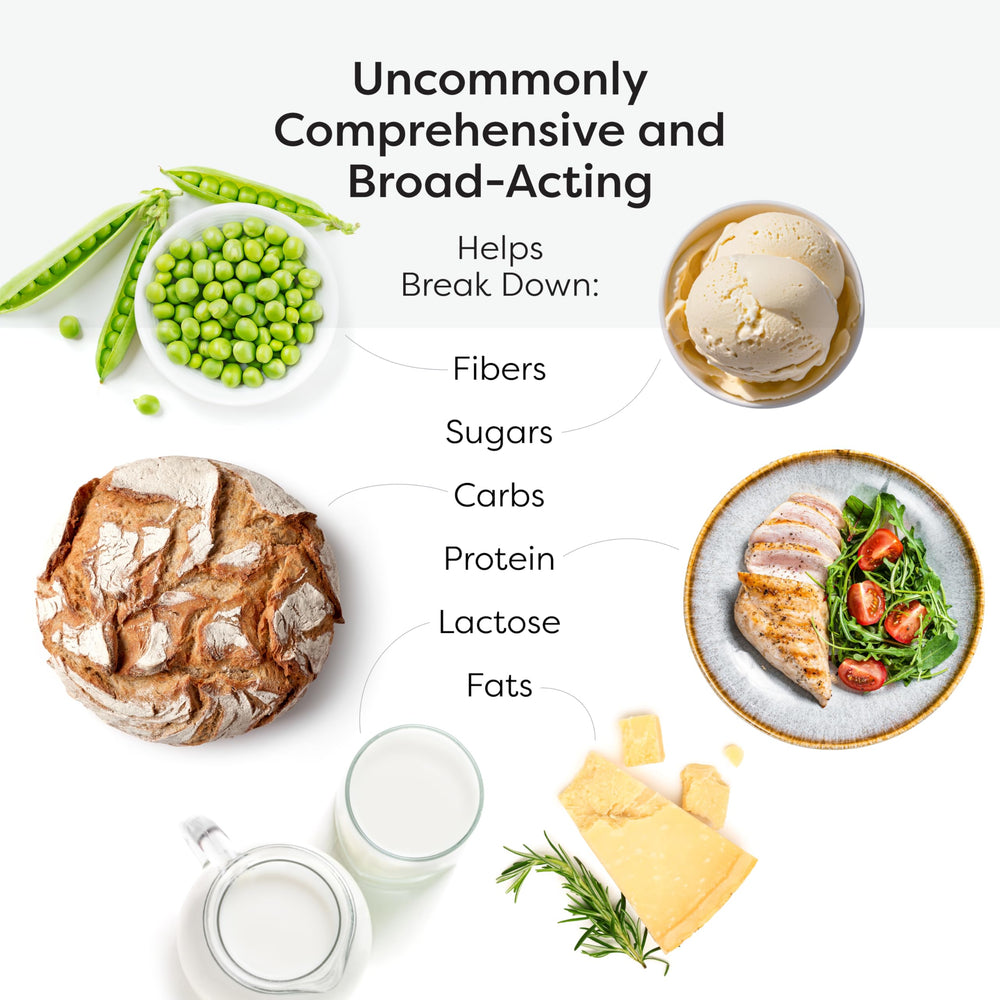 SFI Health Vital-Zymes ingredients list featuring plant and microbial enzymes.