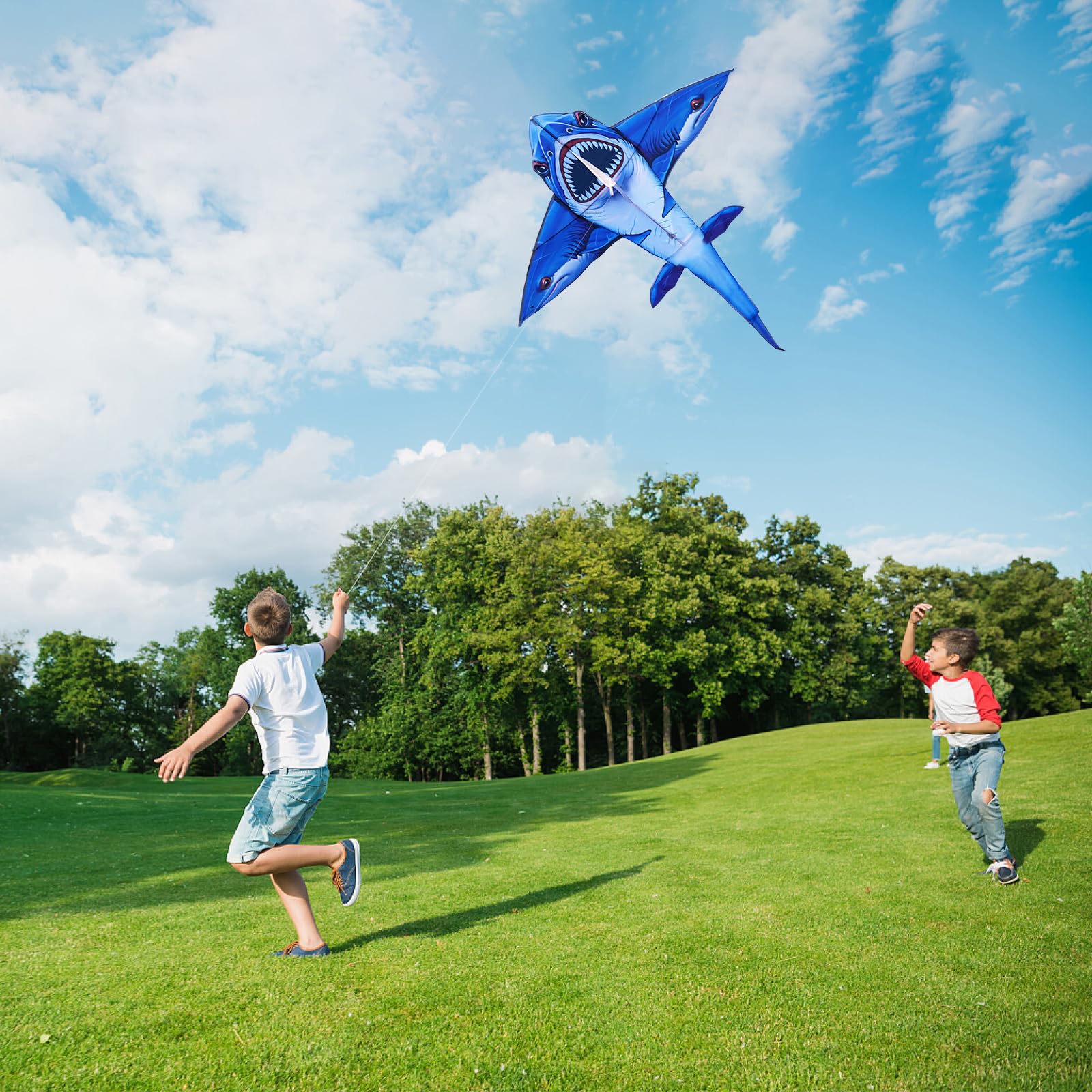 SGftre kite flying at beach or park inspires family fun.