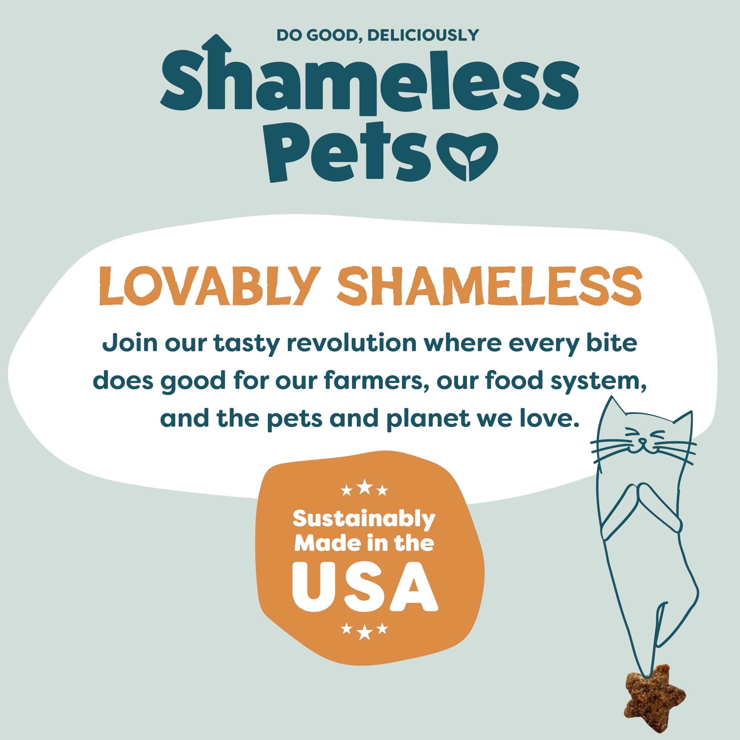 2.5 oz Shameless Pets Catnip N Chill bag ready for treat time