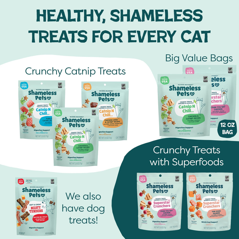 Shameless Pets Catnip N Chill closeup of bite-sized treats