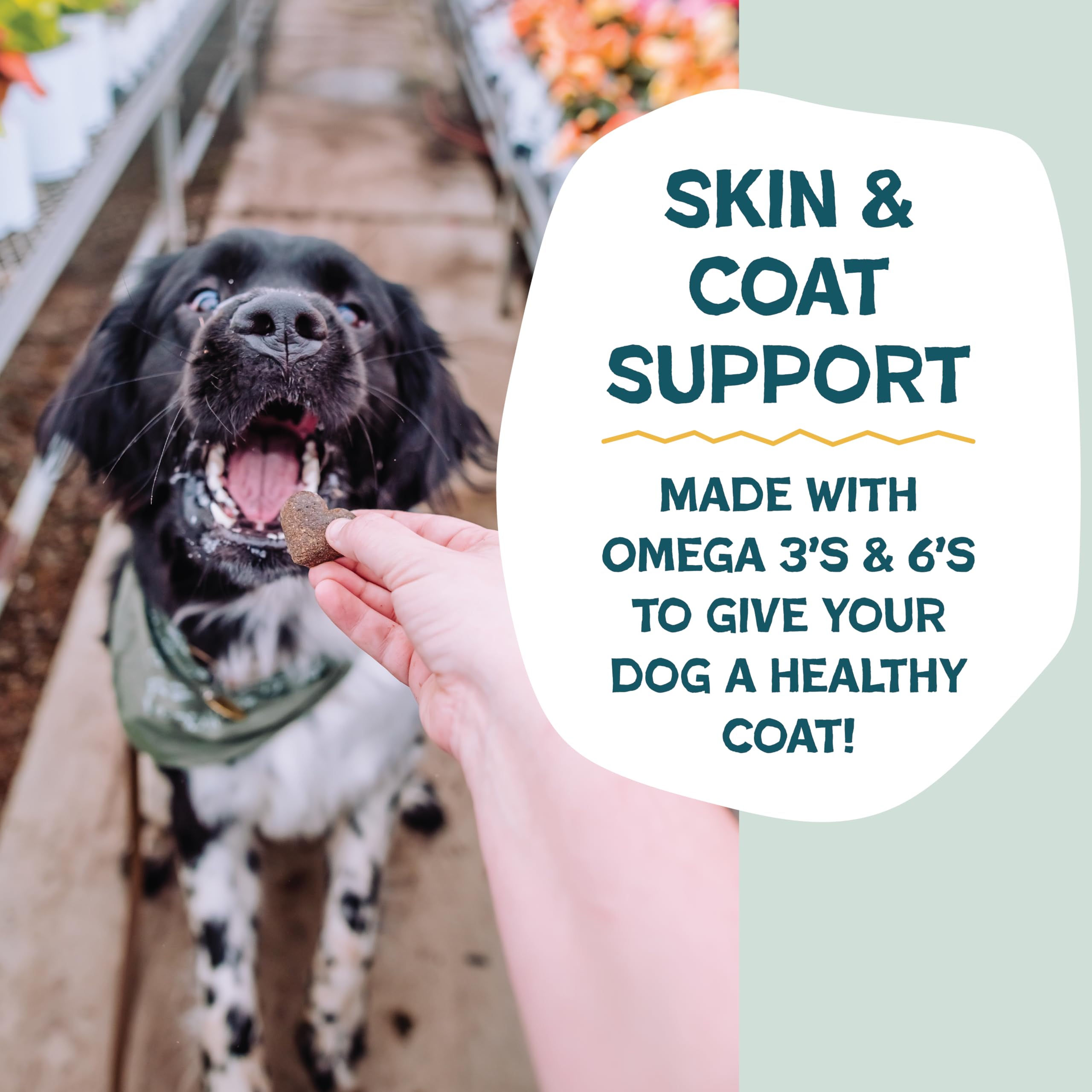 Shameless Pets bag highlights omega 3 & 6 for skin and coat.