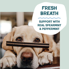 Shameless Pets Triple Mint Dental Chews ridged edges for deep cleaning.