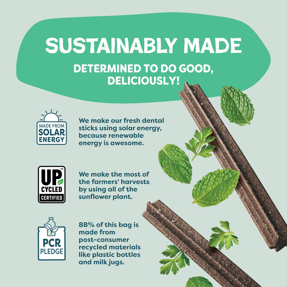 Shameless Pets Triple Mint Dental Chews upcycled fruits-vegetables reducing waste.