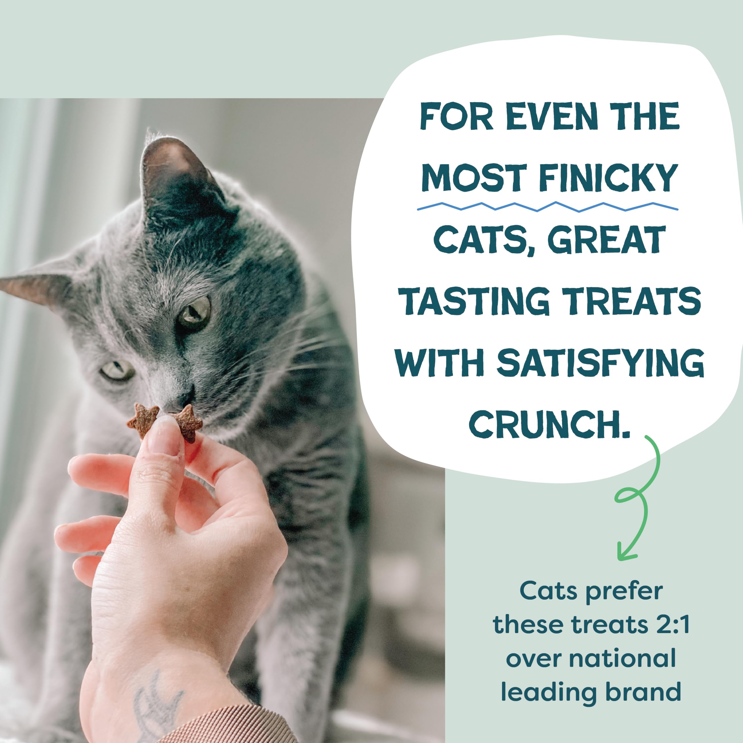 Shameless Pets upcycled sweet potatoes showcase sustainable, nutritious crunch.