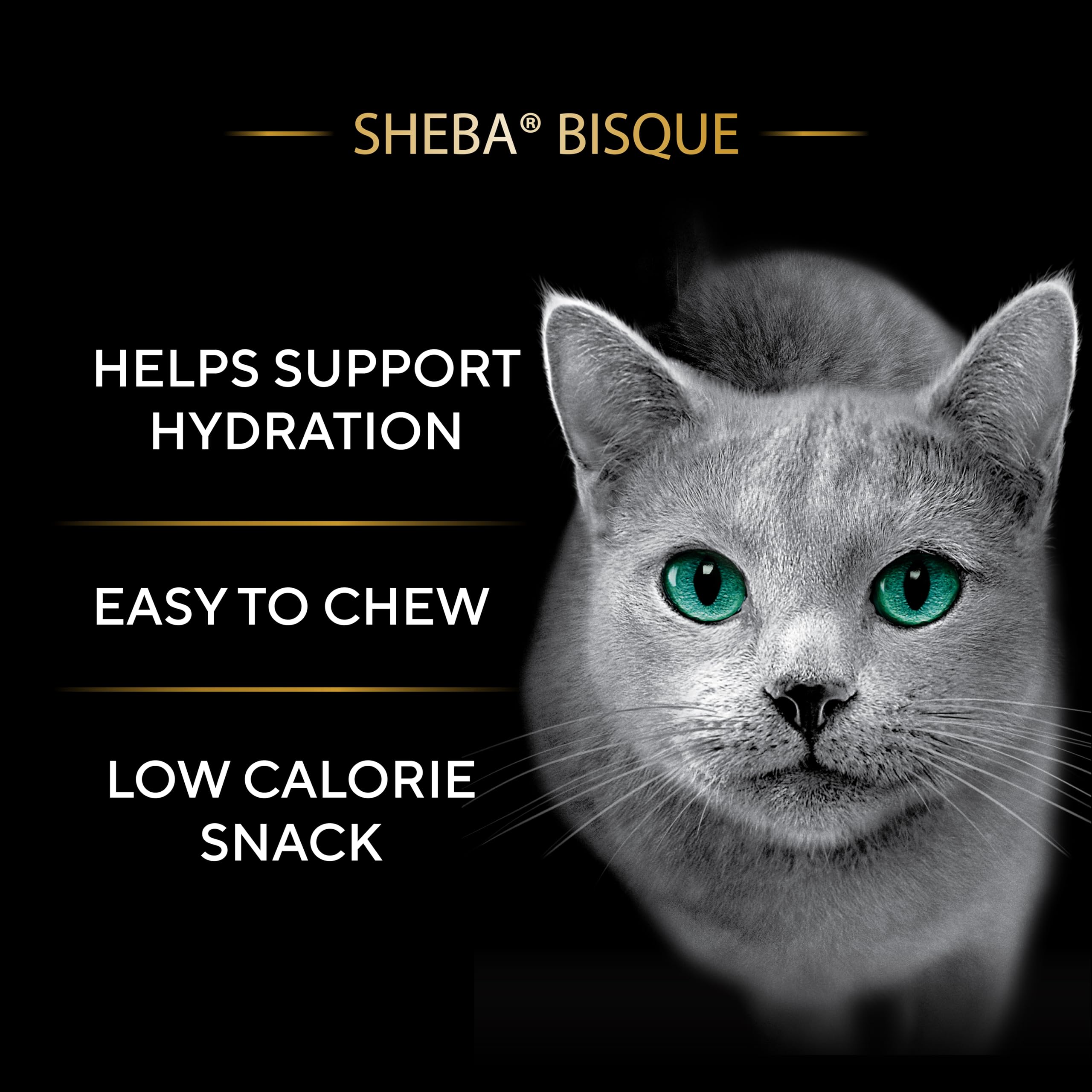 Sheba Bisque lickable salmon chunks in a bowl deliver premium meal topping.