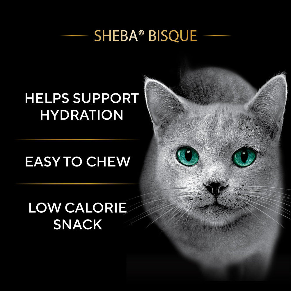 Sheba Bisque lickable salmon chunks in a bowl deliver premium meal topping.