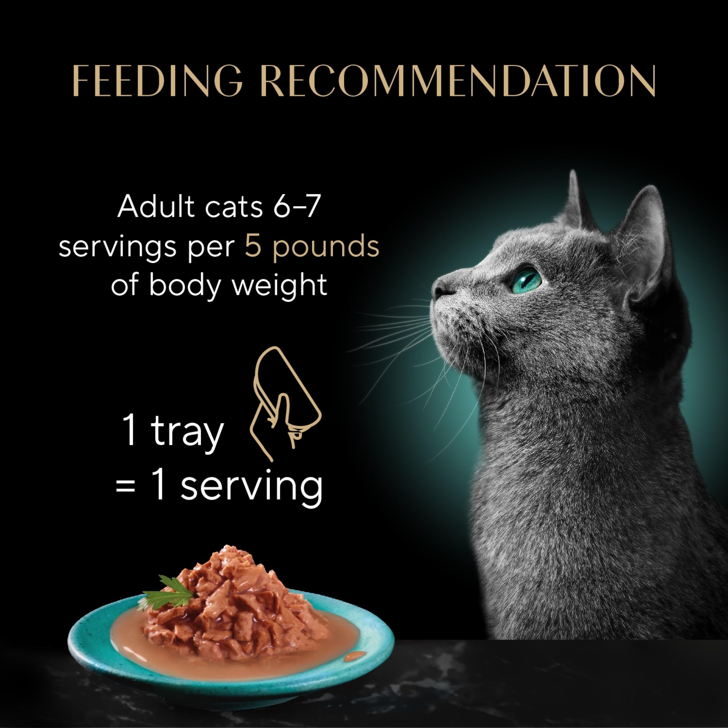 Cat enjoying Sheba Gravy Indulgence White Fish Entree with rich gravy.