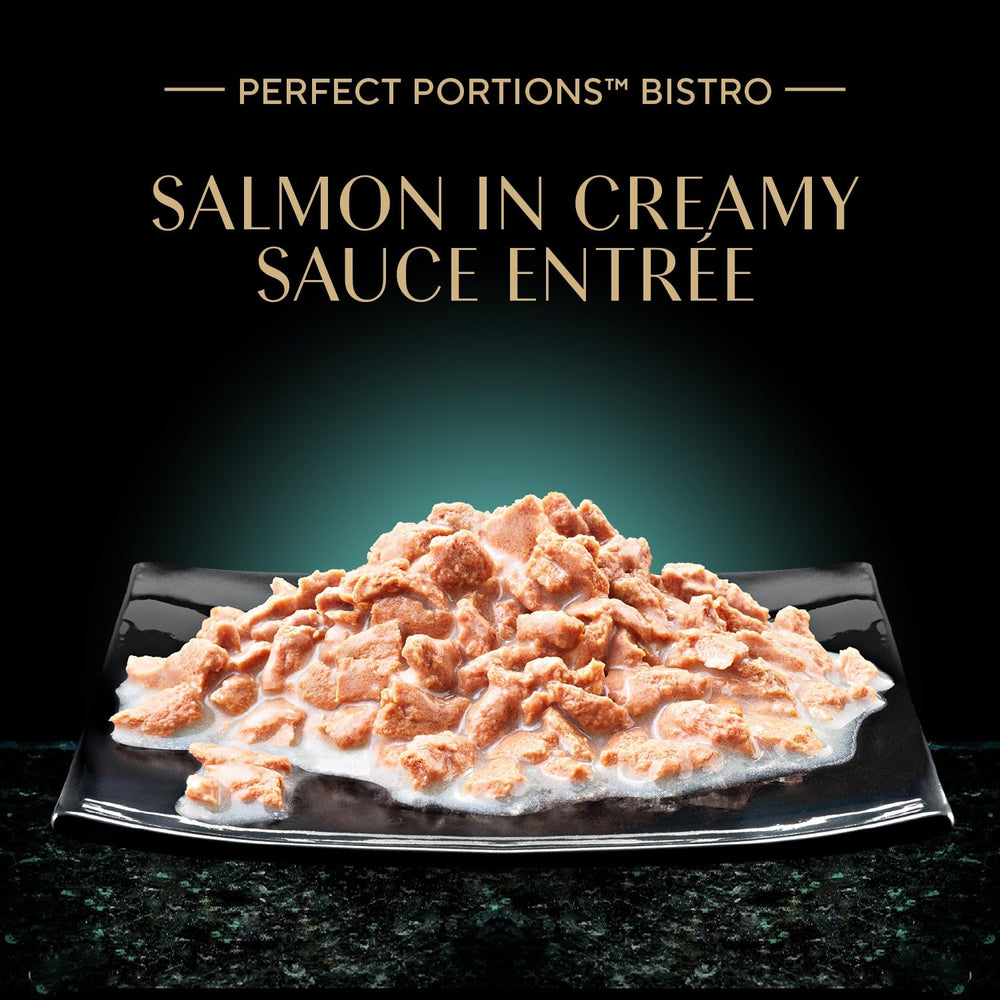 Cat enjoying Sheba Salmon entree with creamy sauce aroma.