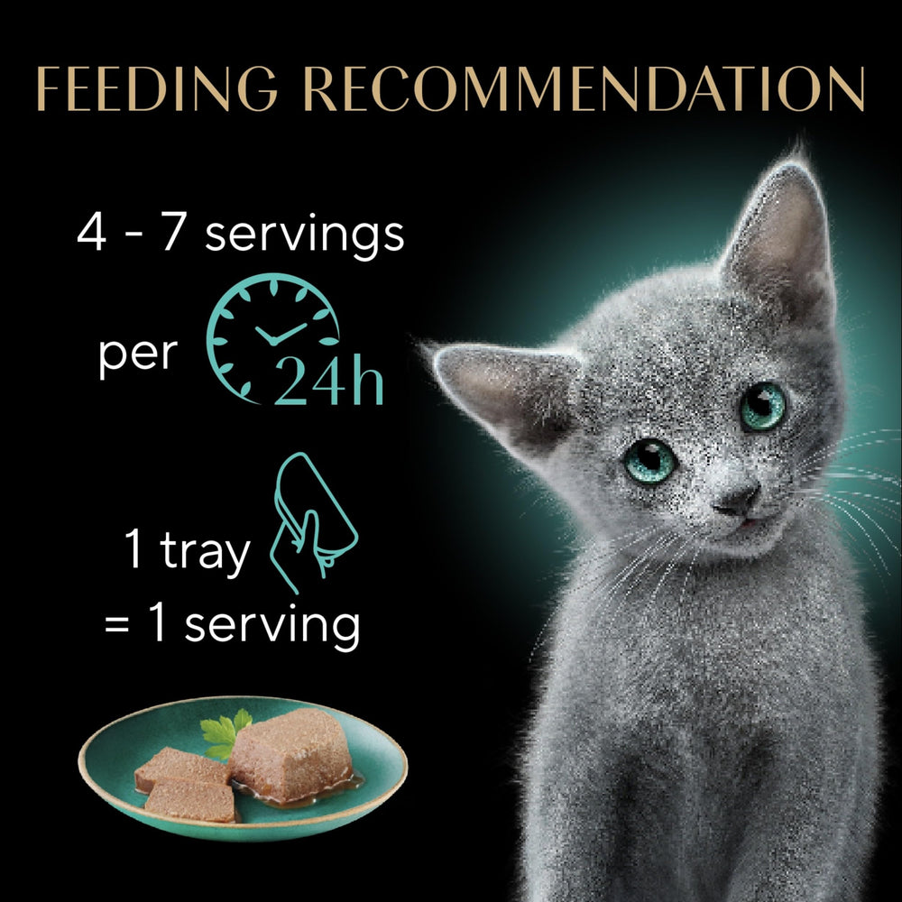 Sheba Perfect Portions kitten pate salmon close-up highlighting tender morsels