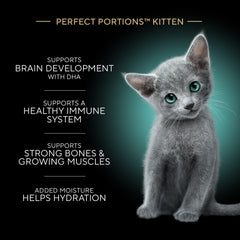 Sheba Perfect Portions kitten pate turkey entree in a tray, savory protein for curious kittens