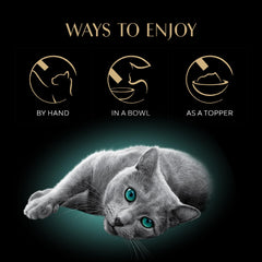 Sheba Premium Puree Seared Tuna tube promotes bonding during feeding