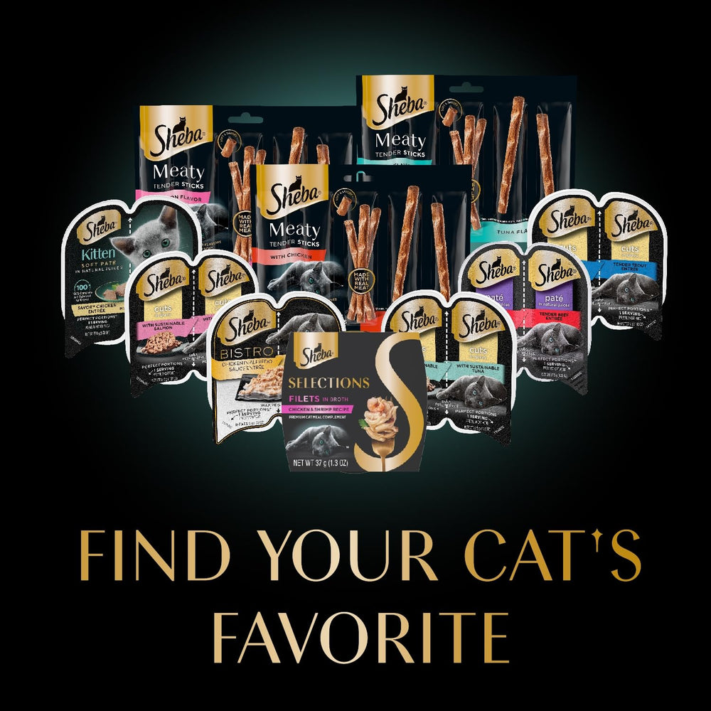 Elegant presentation of Sheba Selections filets in broth for cats