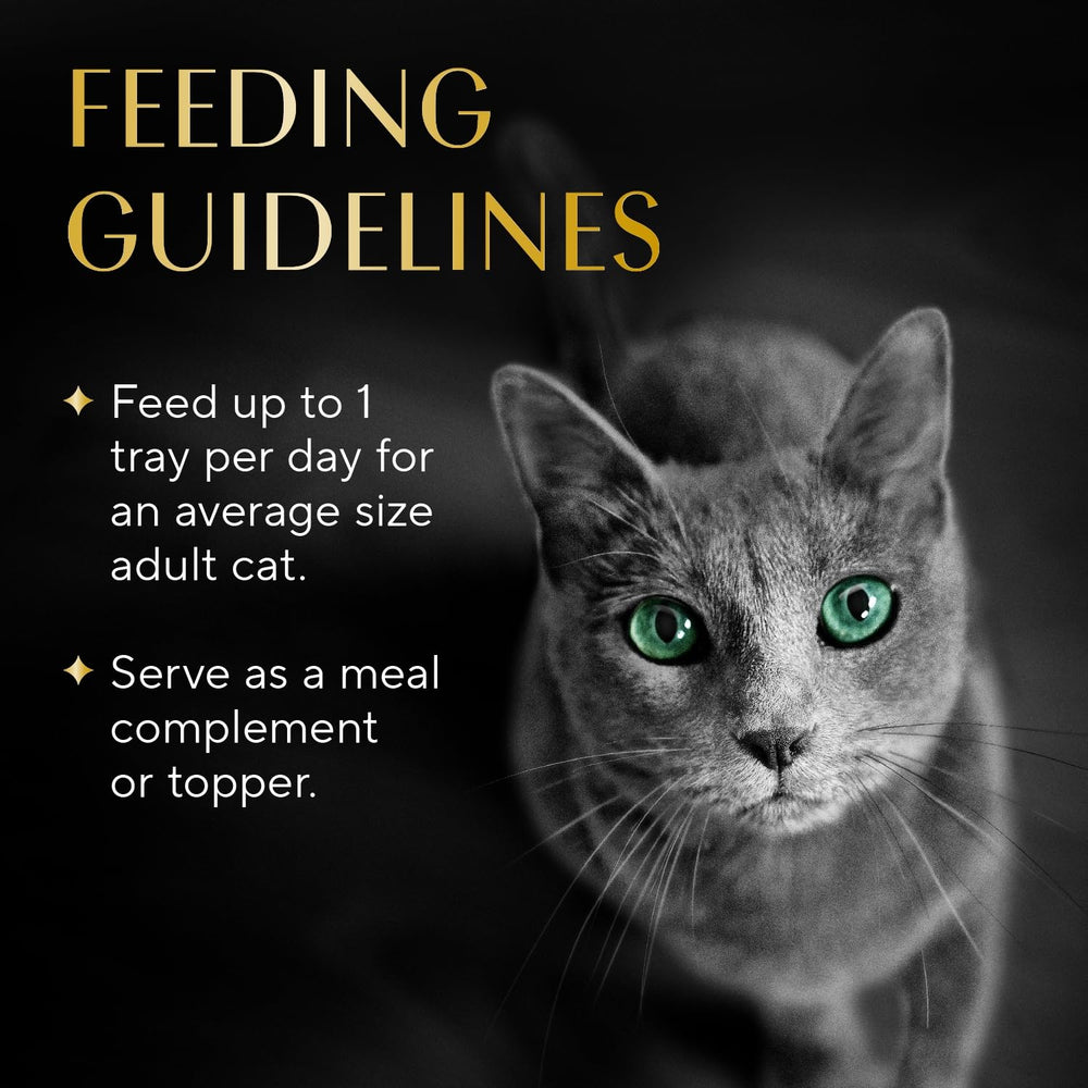 Serving idea: top your cat's meals with Sheba filets in broth