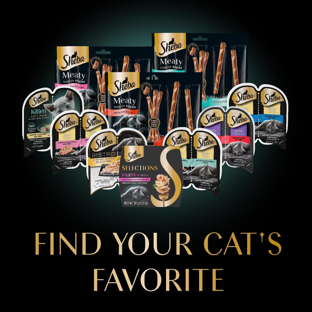 Premium cat meal topper: Sheba Filets in Broth improves mealtime variety.