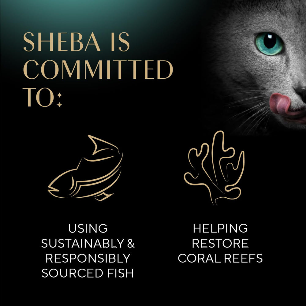 Grain-free recipe from Sheba Filets in Broth without artificial flavors.