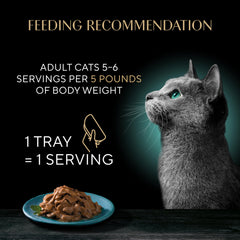 Sheba variety pack of grilled flavors in savory sauce for daily meals.