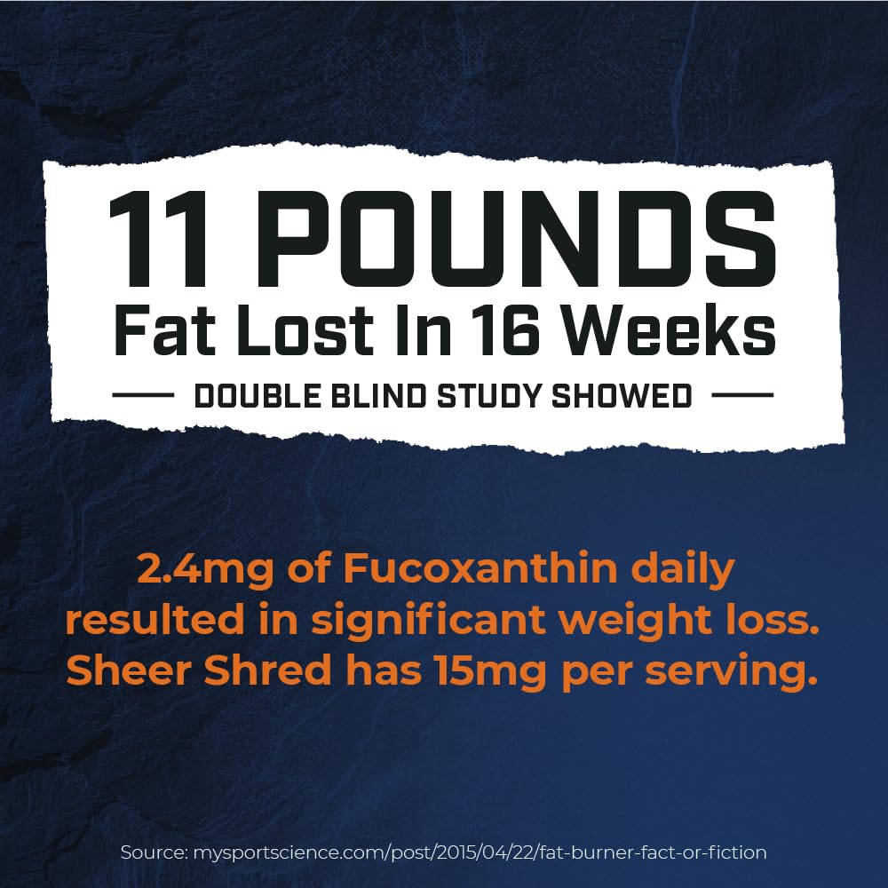 Sheer Strength Labs capsules close-up; capsaicin blend fuels workouts.