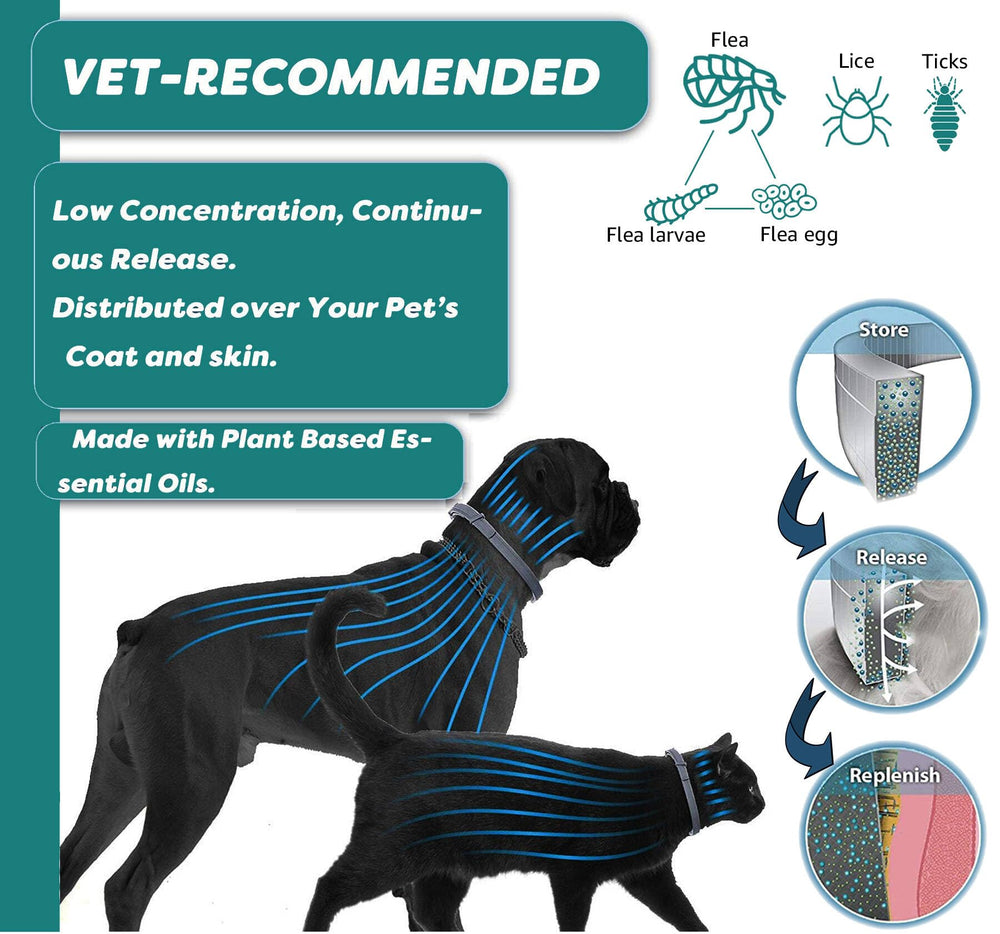 ShengKou waterproof collar with water droplets demonstrates durable, all-weather wear.