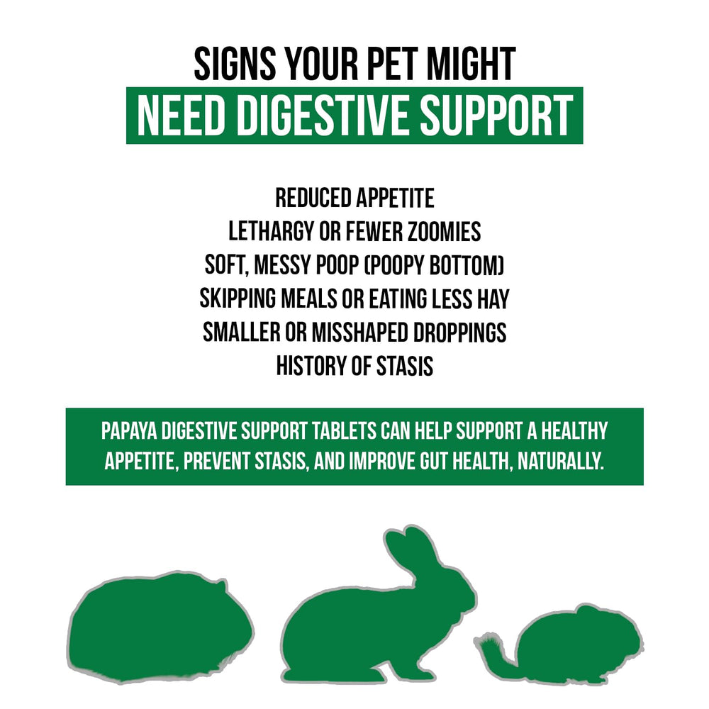 Sherwood Pet Health papaya tablets close-up showing enzyme-rich formula for digestion.
