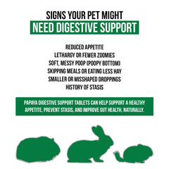 Sherwood Pet Health papaya tablets close-up showing enzyme-rich formula for digestion.