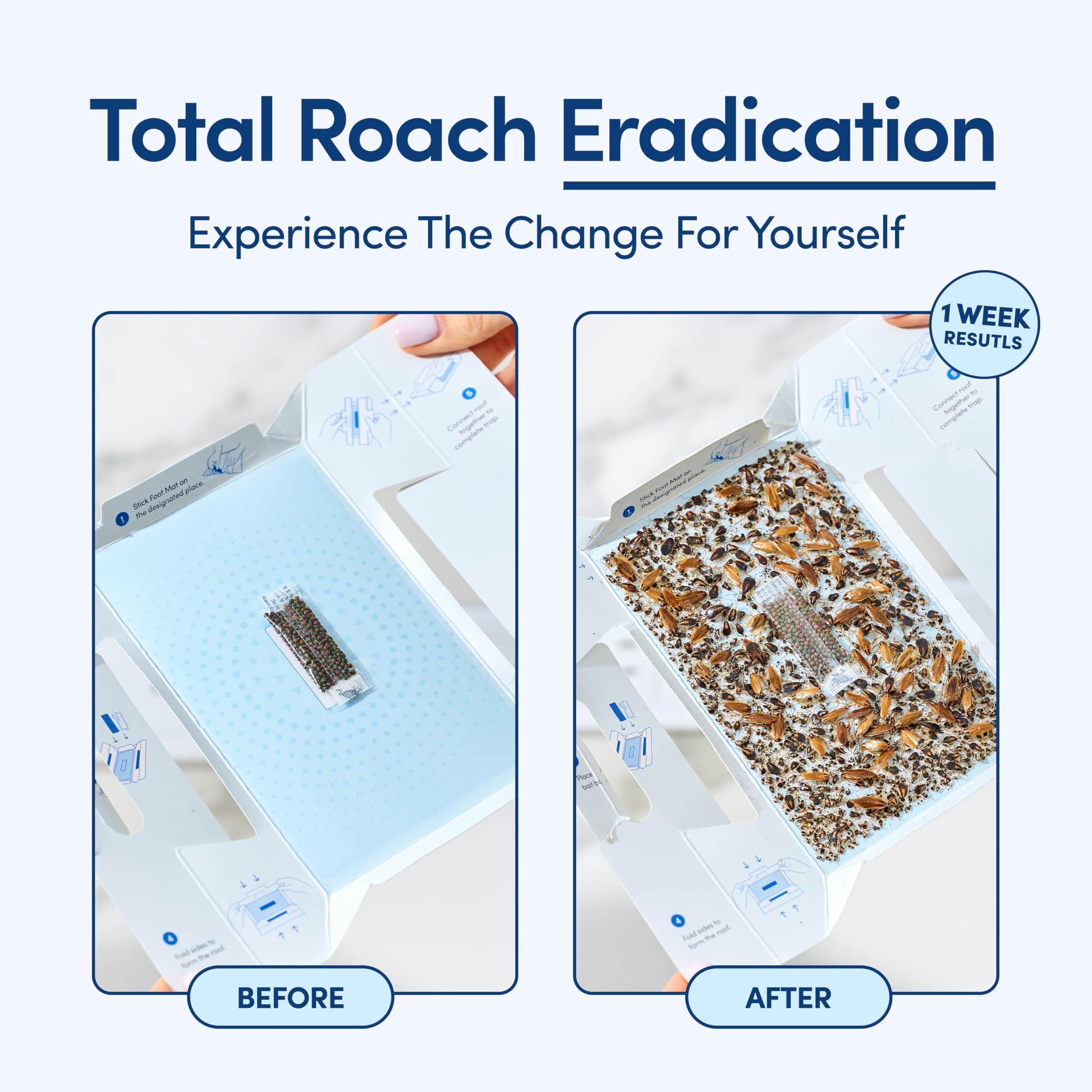 Shieldeck roach traps around appliances keep kitchens pest-free.