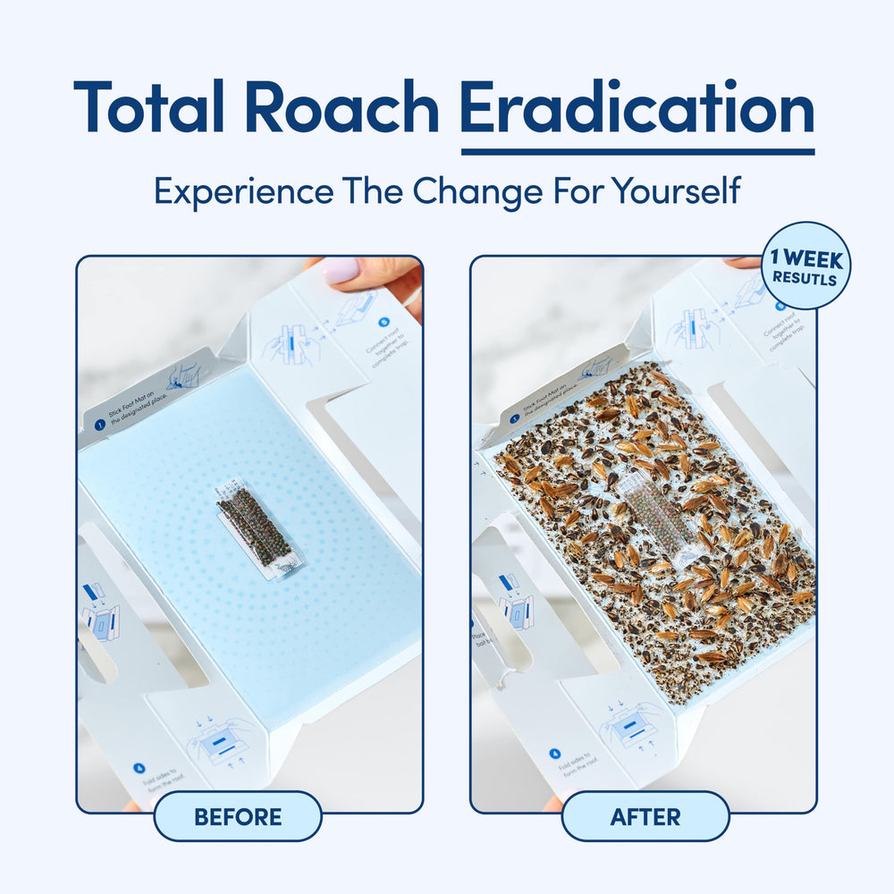 Shieldeck roach traps around appliances keep kitchens pest-free.