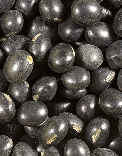 Shiloh Farms Organic Black Soybeans, meatless burger idea for plant-based meals.
