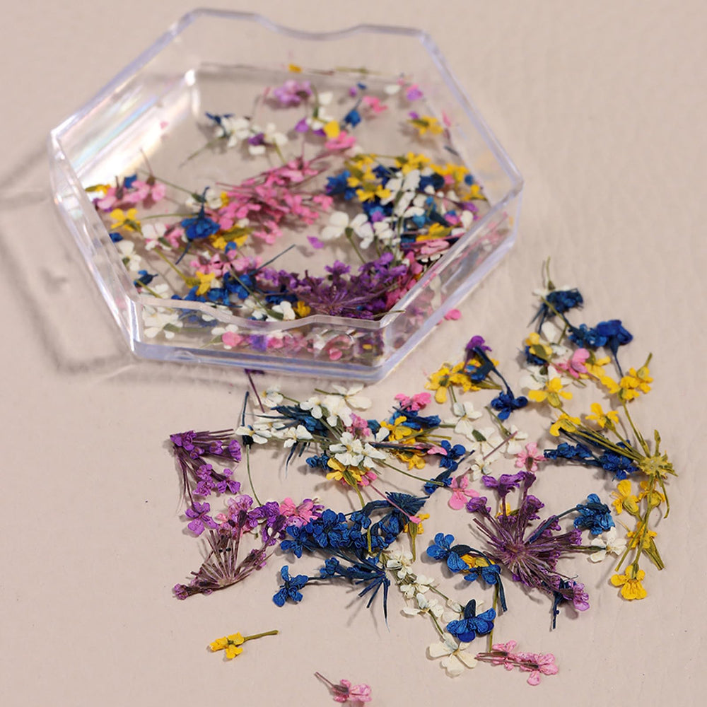 SILPECWEE vibrant colors showcase variety for versatile nail art designs.