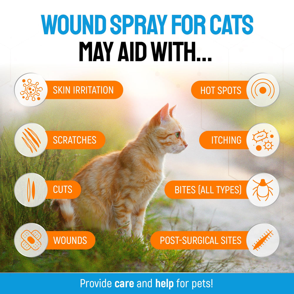 SILVER GRADE spray being applied to a cat's affected area.