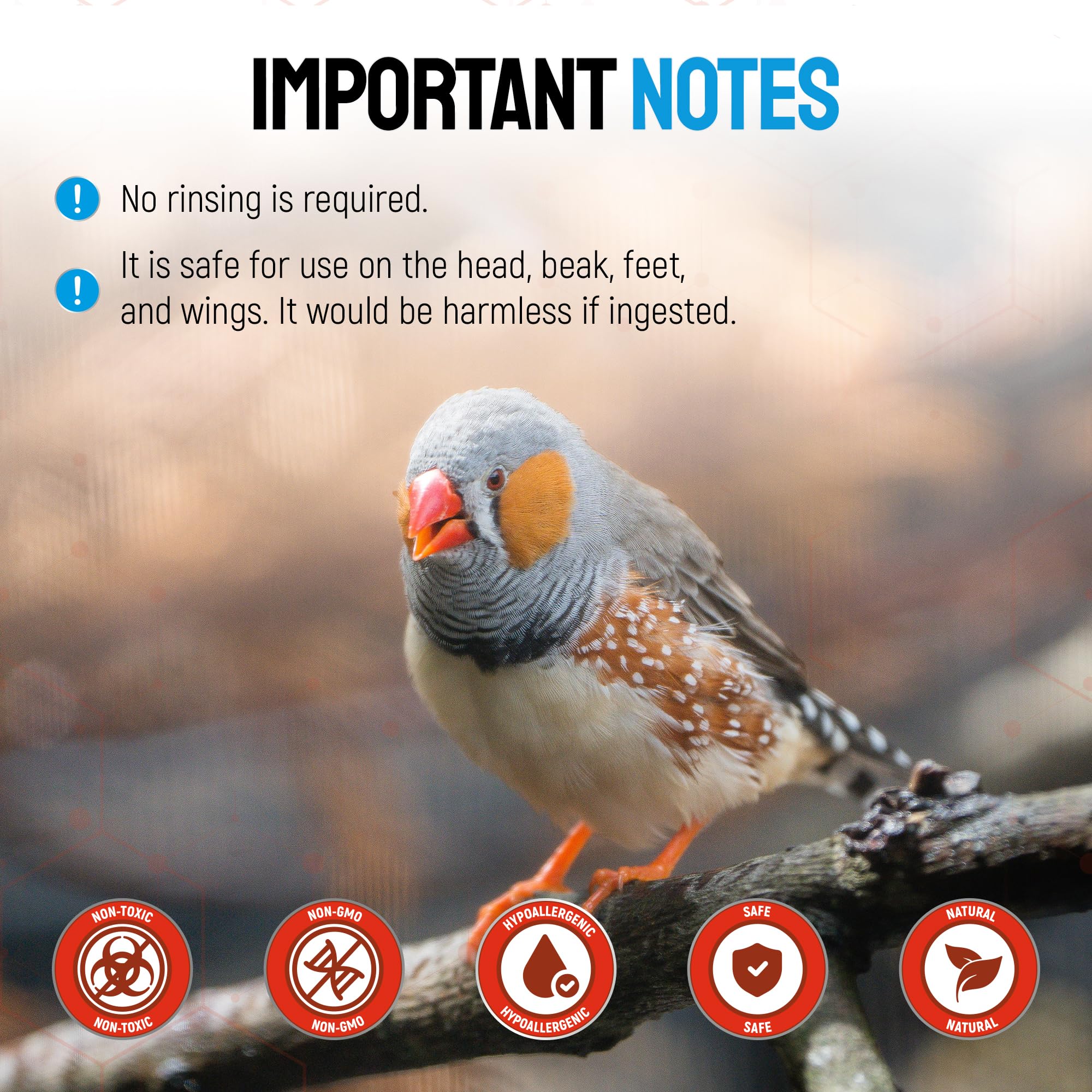 SILVER GRADE plaie-pieds-poulet : protection des pattes et irritations.
